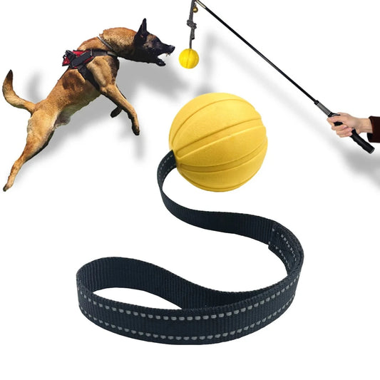 Dog Toy Balls On a Rope for Small Medium Large Dogs Chewers  Durable Interactive Ball for Training Dogs EVA Foam Ball Floats